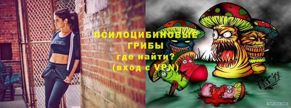 дмт Алзамай