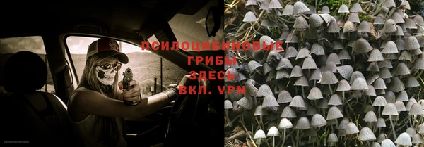 дмт Алзамай