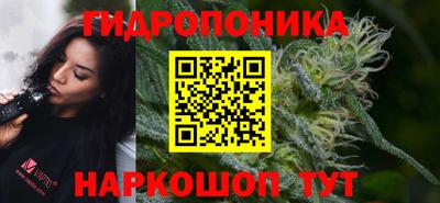 прущие крисы Камышлов