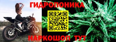 прущие крисы Камышлов