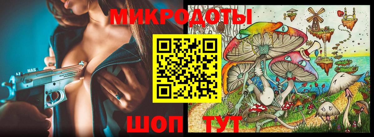 Псилоцибиновые грибы Psilocybine cubensis Елабуга